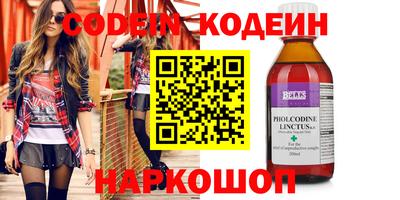 гидра Заводоуковск