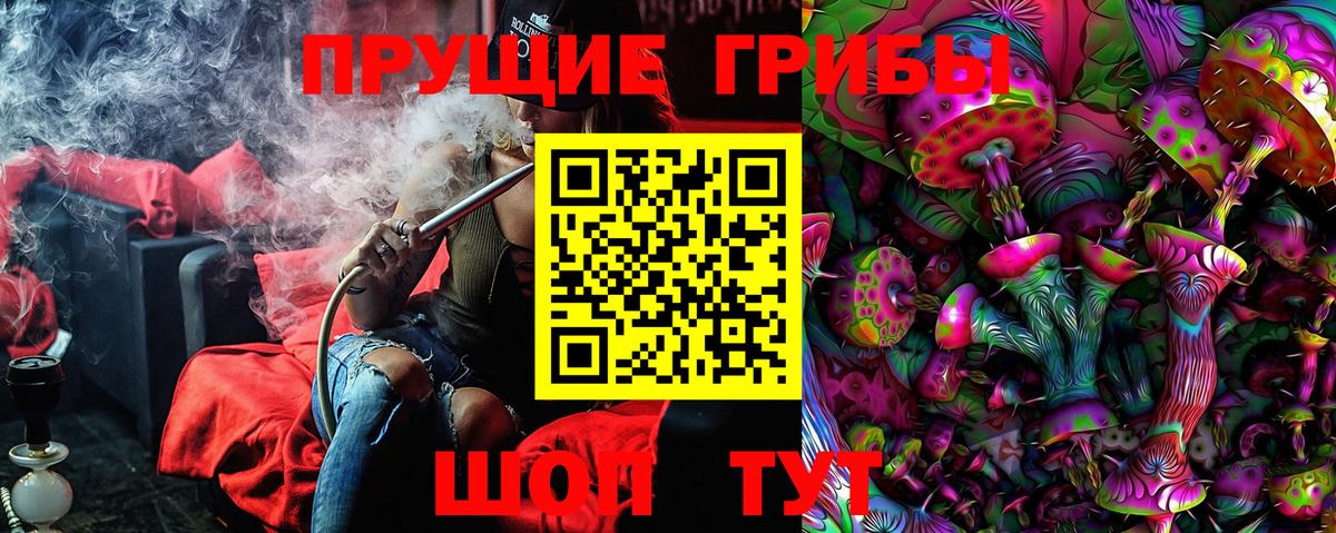 Галлюциногенные грибы Cubensis  Вход с VPN  Унеча 